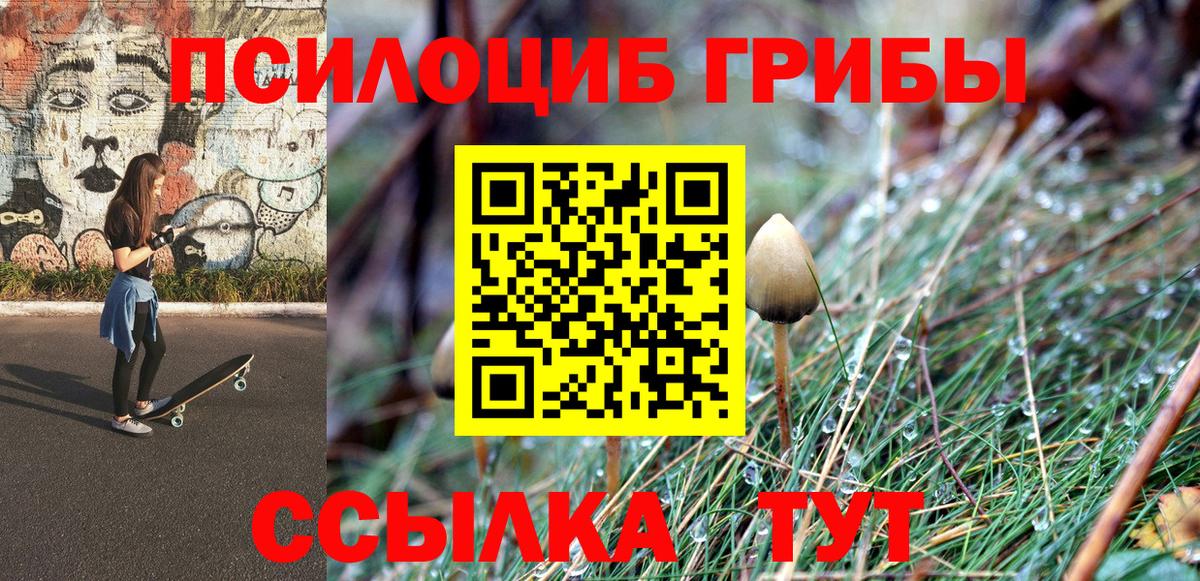 купить  цена  Вход с VPN  Кунгур  Псилоцибиновые грибы Magic Shrooms  Галлюциногенные грибы Magic Shrooms 